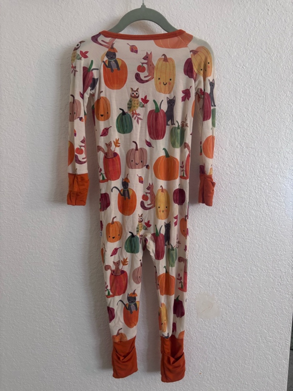 Little Sleepies Kids Pumpkin Pals Zippy - Picture 7 of 7